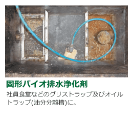 固形バイオ排水浄化剤